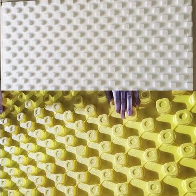 建物倉庫の泡冷却室のためのICFブロックパネルをカスタマイズした要求